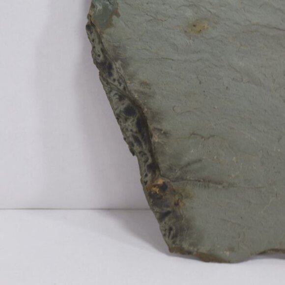 Slate Wall Decor Apples Daisies D. Leblanc Hand Painted Rustic Farmhouse Core - Picture 6 of 7